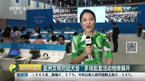 亚洲文化对话视频,亚洲文化交融的视听之旅