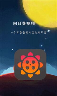 向日葵视频下载安装日韩,向日葵视频安装攻略